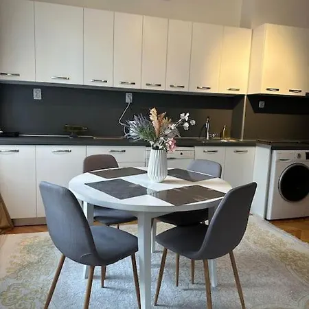 Plovdiv Central Apartment 公寓 *